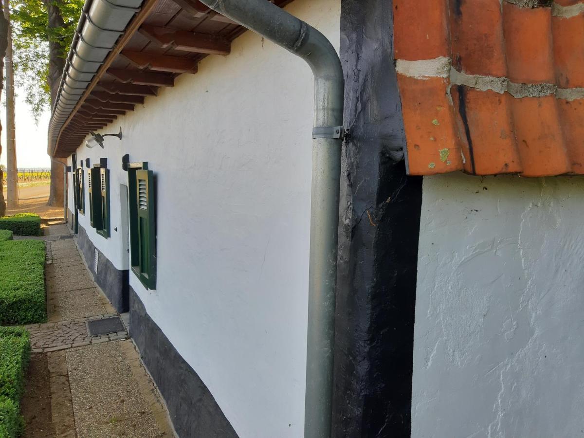Lemen Huis Houwaart Tielt Εξωτερικό φωτογραφία